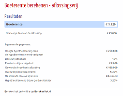 Alles wat je moet weten over aflossingsvrije leningen